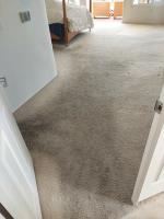 Silver Olas Carpet Tile Flood Cleaning image 6